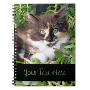 Calico Kitten Notebook