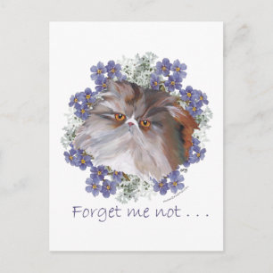 Calico Persian Cat Forget-Me-Not Postcard