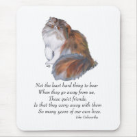 Calico Persian Cat Rainbow Bridge
