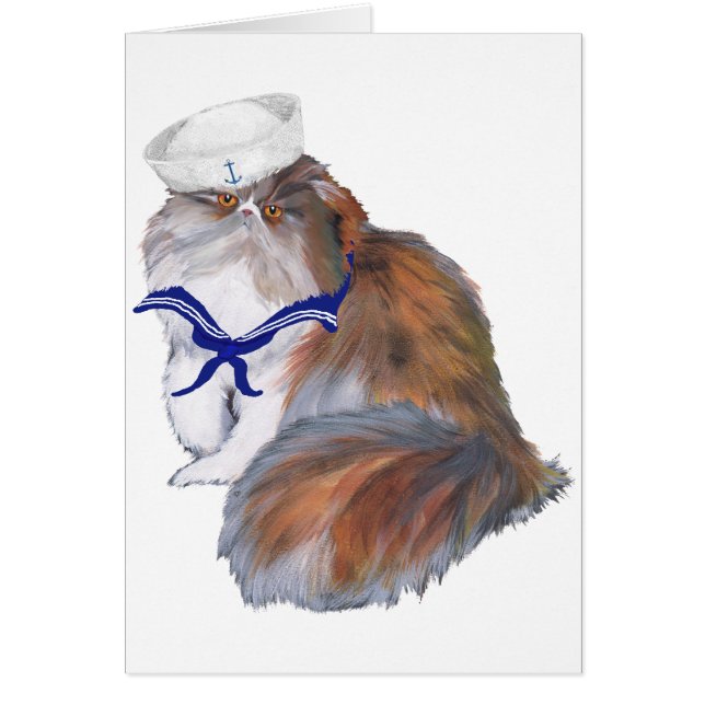 Calico Persian Cat Sailor (Front)