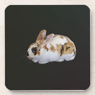 Calico Rabbit Coaster
