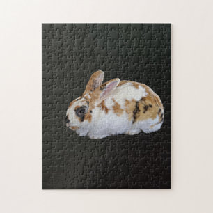 Calico Rabbit Jigsaw Puzzle