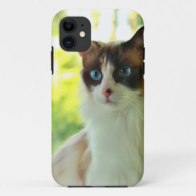 Calico Ragdoll Kitty Custom Phone Cases and Skins (Back)