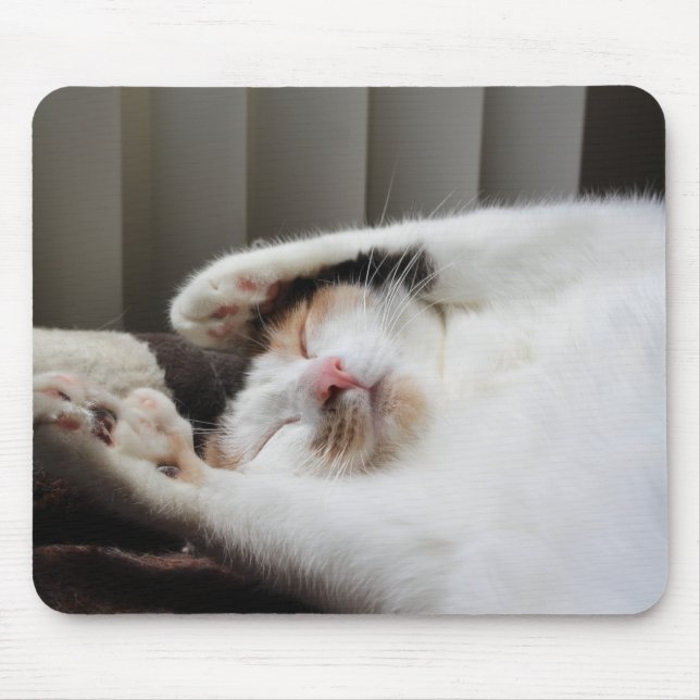 Calico sleeping in the sun mousepad (Front)