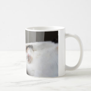 Calico sleeping in the sun mug