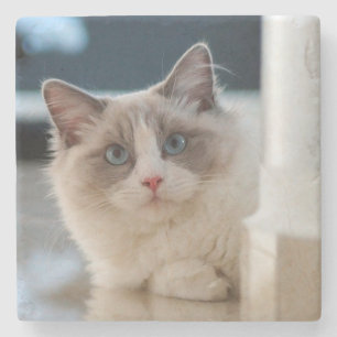 Calico Stone Coaster