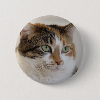 Calico tabby cat face 2 inch round button