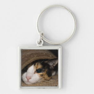 Calico Taco Keychain