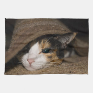 Calico Taco Kitchen Towel