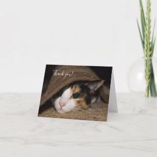 Calico Taco Thank You Card