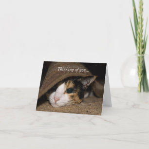 Calico Taco Thinking Of You Card