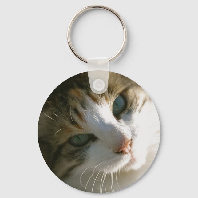 Calico Tiger Cat Keychain (Front)