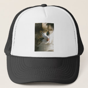 Calico Tiger Cat Trucker Hat
