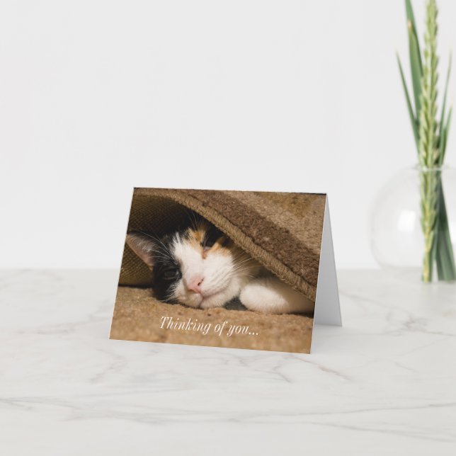 Calico Under The Rug Thinking Of You Card (Front)