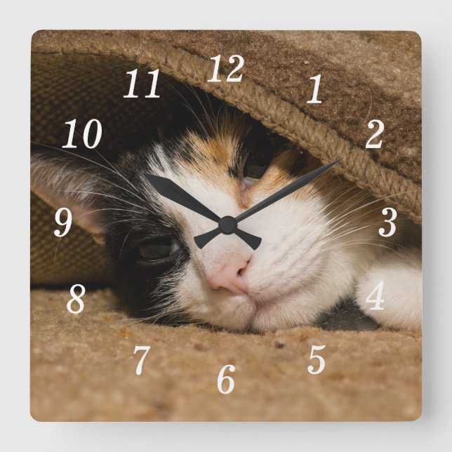 Calico Under The Rug Wall Clock (Front)