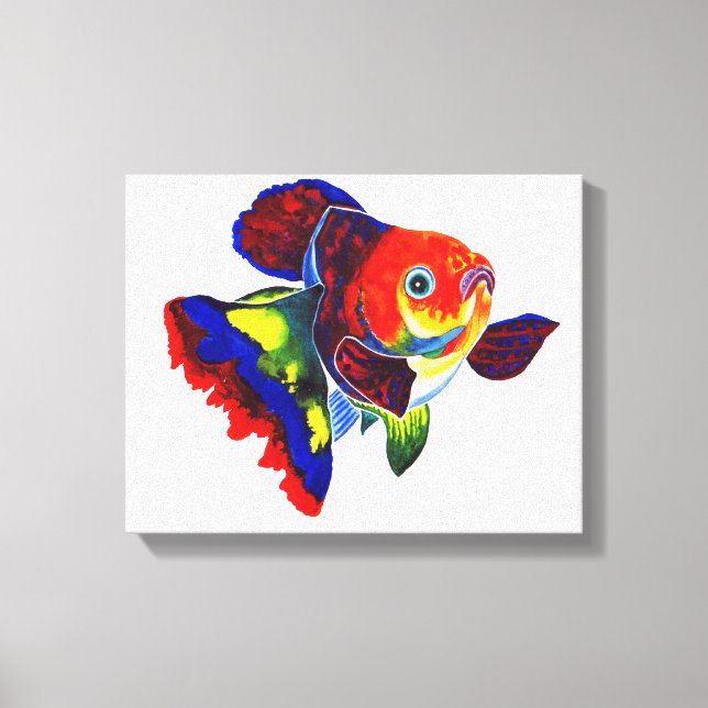 Calico Veiltail Goldfish canvas print (Front)