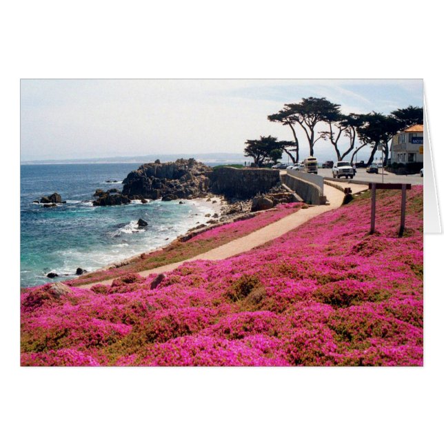 Calif Pacific Grove-Monterey (Devant horizontal)