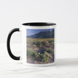 Califorinia, Anza-Borrego Desert SP, Sand Mug