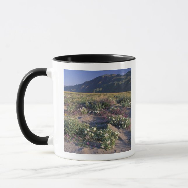 Califorinia, Anza-Borrego Desert SP, Sand Mug (Left)