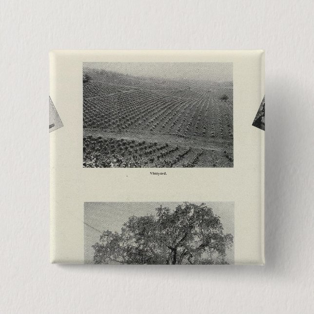 California 4 2 inch square button (Front)