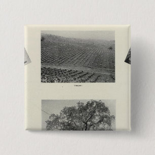 California 4 2 inch square button