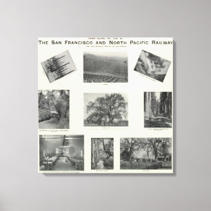 California 4 canvas print