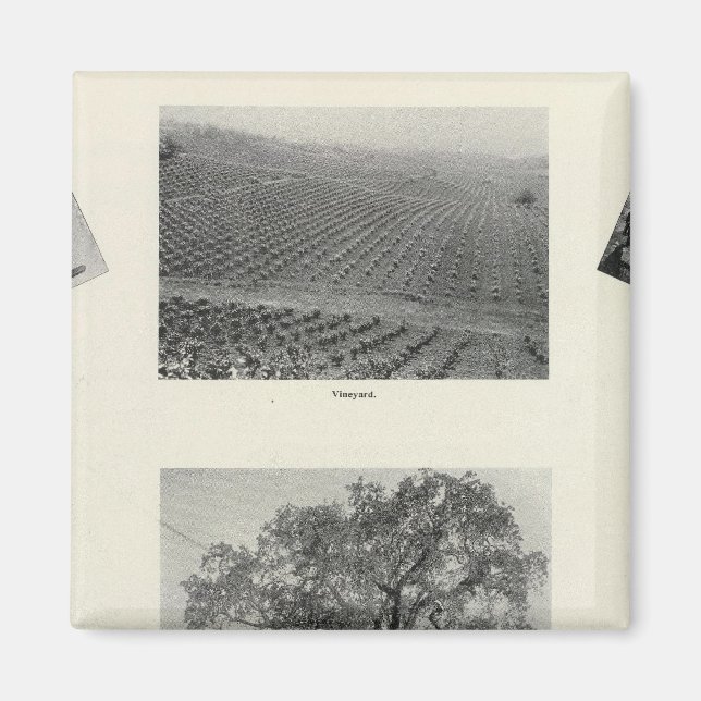 California 4 magnet (Front)