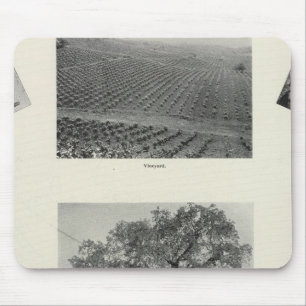 California 4 mouse pad