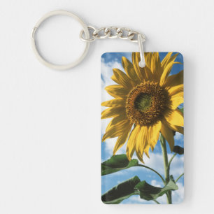 California, A Mammoth Sunflower (Helianthus) 2 Keychain