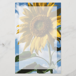 California, A Mammoth Sunflower (Helianthus) 2 Stationery