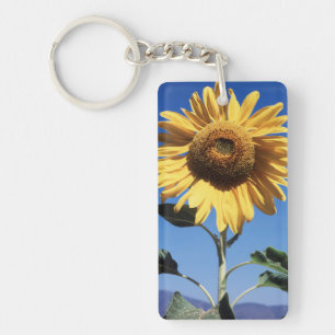 California, A Mammoth Sunflower (Helianthus) 3 Keychain