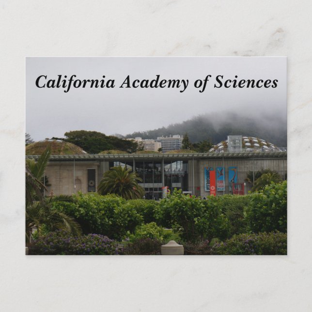 California Academy of Sciences #2 Carte postale (Devant)