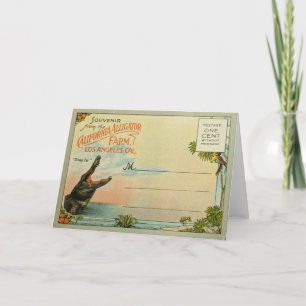 California Alligators Card