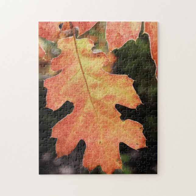 California, An autumn coloured Oak leaf Jigsaw Puzzle (Vertical)