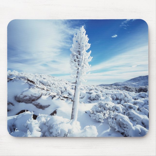 California, Anza Borrego Desert State Park 2 Mouse Pad (Front)