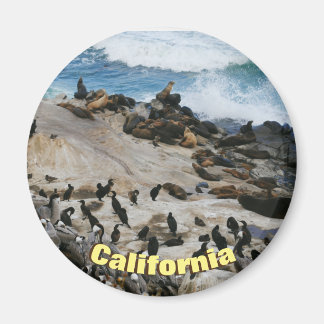 California Beach Magnet