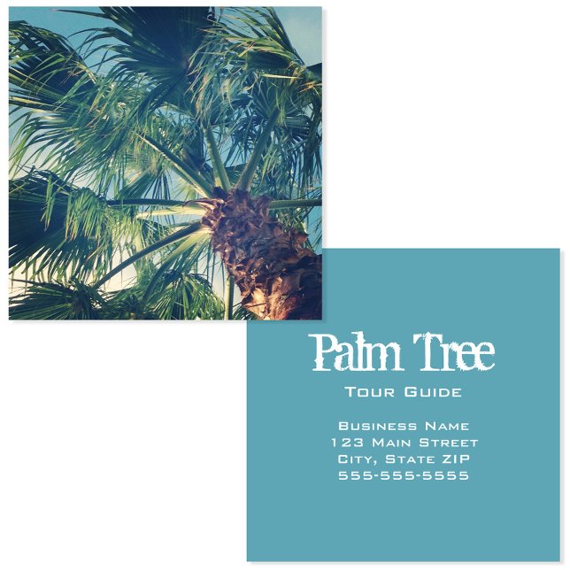 California Beach Palm Fronds Square Business Card (California Beach Palm Fronds Square Business Card)
