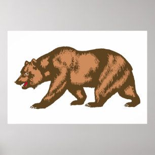 California Bear Poster
