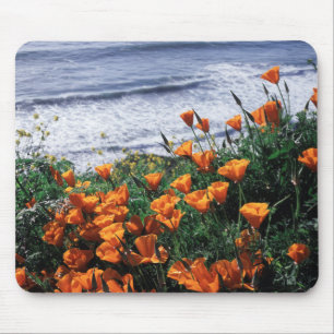 California, Big Sur Coast, California Poppy Mouse Pad