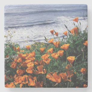 California, Big Sur Coast, California Poppy Stone Coaster