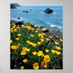 California, Big Sur Coast, Central Coast 1 Poster