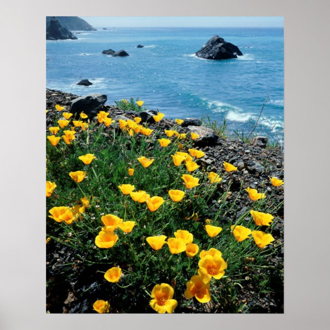 California, Big Sur Coast, Central Coast 1 Poster (Front)