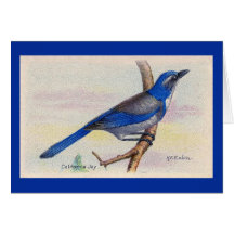 California Blue Jay Bird Carte de remerciements