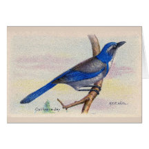 California Blue Jay Bird Carte de remerciements