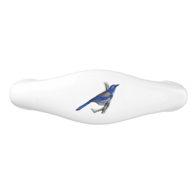  California Blue Jay Ceramic Drawer Pull (Front)