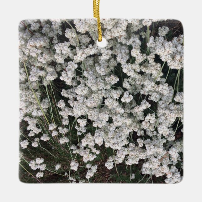 California Buckwheat Ceramic Ornament (Front)