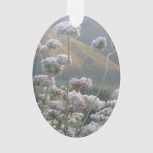 California Buckwheat Ornament