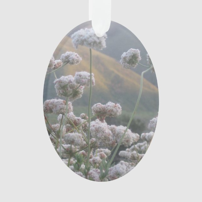 California Buckwheat Ornament (Front)