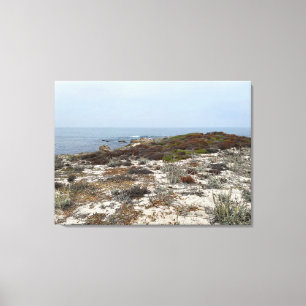 California Canvas: Asilomar Canvas Print