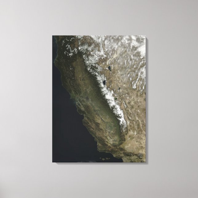 California Canvas Print (Front)